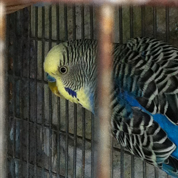 Spotting Image 1