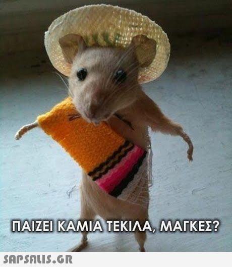 ΠΑΙΖΕΙ!ΚΑΜΙΑΝΤΕΚΙΛΑ MATKE!? ΜΑΓΚΕΣ? 