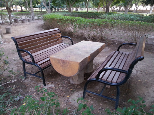 Log Table and Park Benches