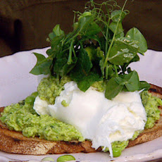 Spicy Fava Bean Fritters with Lemon Minted Yogurt