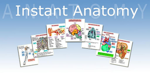 Anatomy Flash Cards -  apk apps