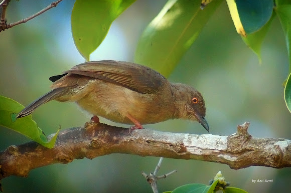 Spotting Image 1