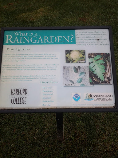 Harford Community College Rain Garden