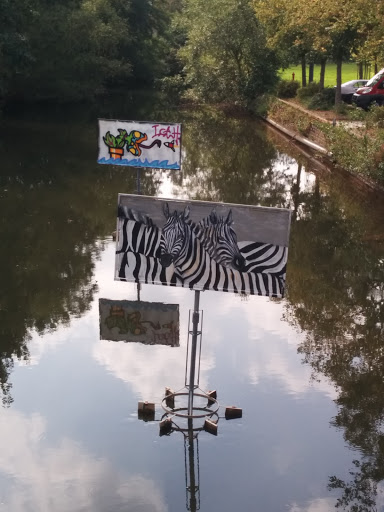Zebras in the Water