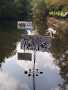 Zebras in the Water