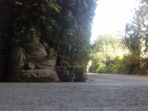 Hidden Buddha Statue