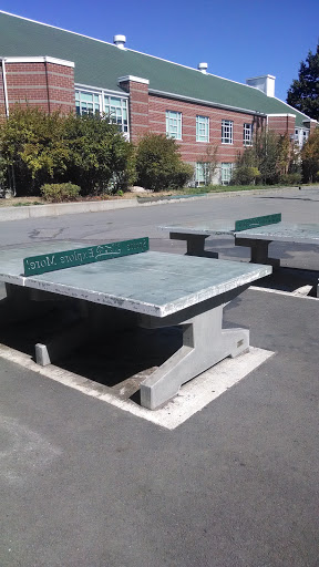 Stone Ping Pong Tables