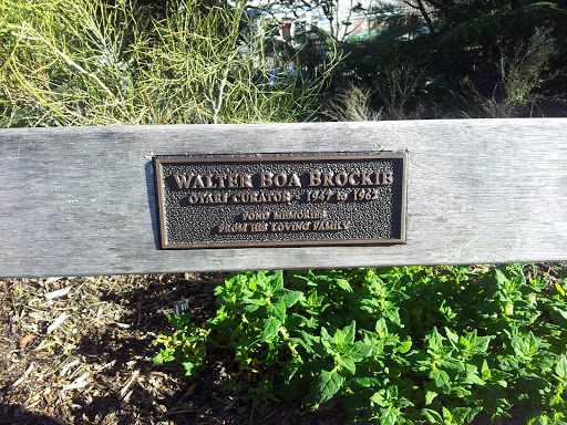 Walter Boa Brockie Memorial Bench