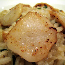 Champagne Risotto with Scallops