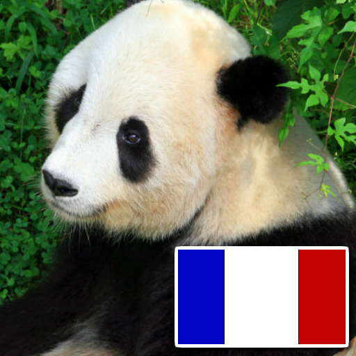 动物用法语 解謎 App LOGO-APP開箱王