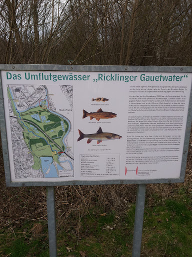 Infotafel Ricklinger Gauetwater