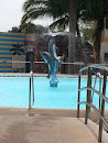 Premium Dolphin Fountain