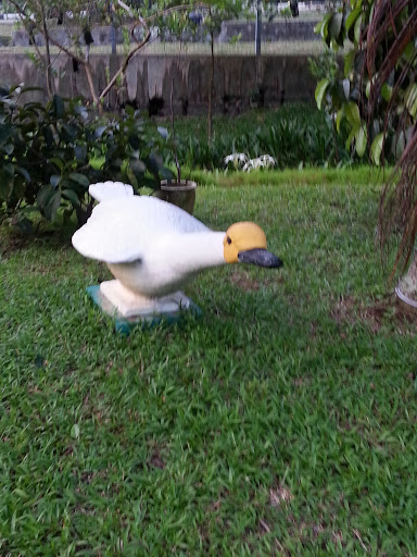Donald Duck at Sin Ming