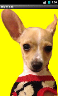 How to download Fifi - The Friendly Chihuahua! 1.0 mod apk for laptop