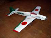Avion De Radio Control Acrobatico