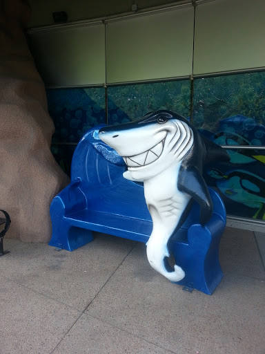 Shark Bench