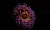 User profile picture thumbnail