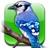 BirdWatch Calendar mobile app icon