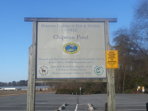 Chipman Pond