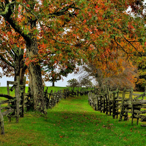 DSC_5755_3_4 - HDR-2.jpg