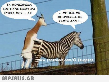 ΤΑ ΜΟΝΟΧΡΩΜΑ Σ0y ΠΑΝΕ ΚΑΛΥΤΕΡΑ ..ΜΗΤΟΣ ΜΕ ΜΠΕΡΔΕΥΕΙΣ ΜΕ ΚΑΜΙΑ ΑΛΛΗ; w.facebook.com/O feugatos 