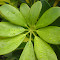 DSCN3431.jpg