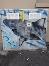 Shark Art Box