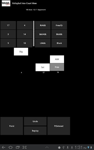 Volleyball Ace Stats