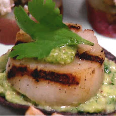 Grilled Sea Scallops on Tortilla Chips with Avocado Puree and Jalapeno Pesto 2