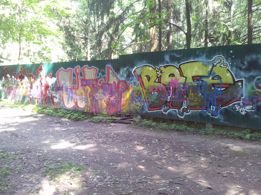 Forest Graffity Wall