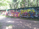 Forest Graffity Wall