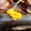 Witch's Butter