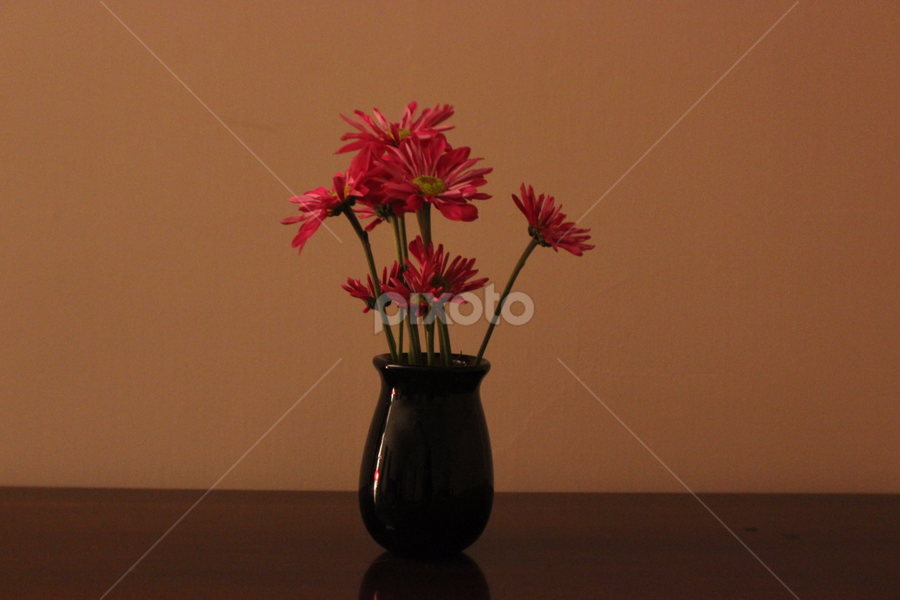 Flower Vase Other Objects Artistic Objects Pixoto