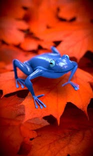 How to get Blue or Ping frog Free lwp 5.2 unlimited apk for laptop