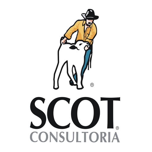 Scot Consultoria 財經 App LOGO-APP開箱王