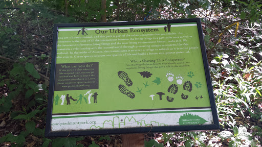 Our Urban Ecosystem Piedmont Park