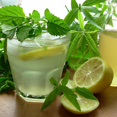 Old Fashioned Lemon Balm and Lemon Verbena Lemonade Syrup