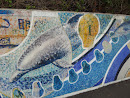 Dolphin Graffiti 