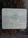 Snoopy's Labyrinth 