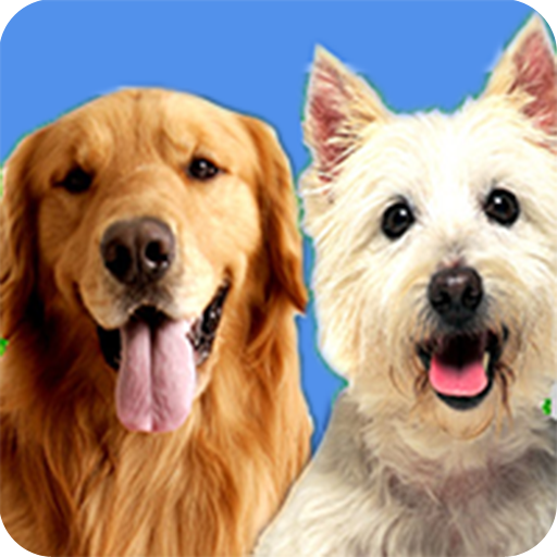 Curing Dog Separation Anxiety 娛樂 App LOGO-APP開箱王
