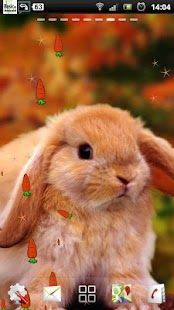 How to download Rabbit Live Wallpaper patch 1.0.8 apk for pc