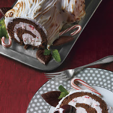 Frozen Chocolate-Peppermint Bùche de Noël