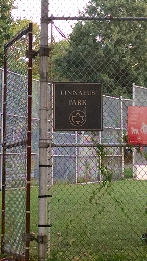 Linnaeus Park
