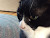 User profile picture thumbnail