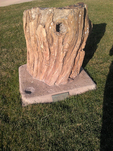 Geology Stump