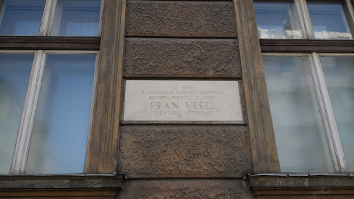 Franc Vesel
