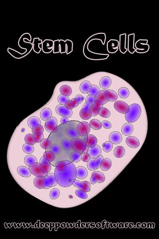 Stem Cell Glossary