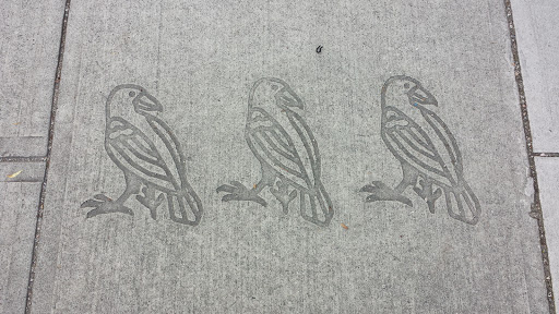 Three Street Crows