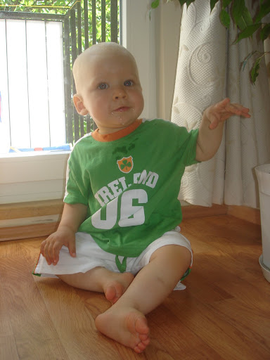 http://lh6.ggpht.com/ABUSMayer/SItcFcDtt4I/AAAAAAAAElk/a7VCtbCYQdQ/DSC08640.JPG?imgmax=512