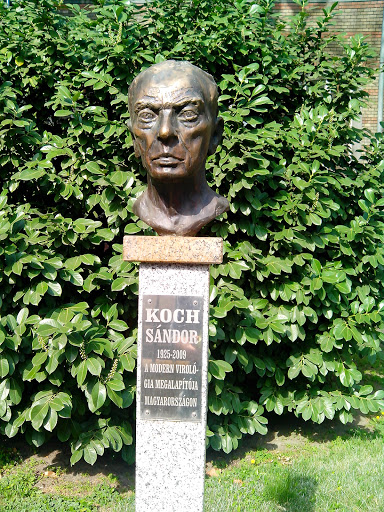 Koch Sándor